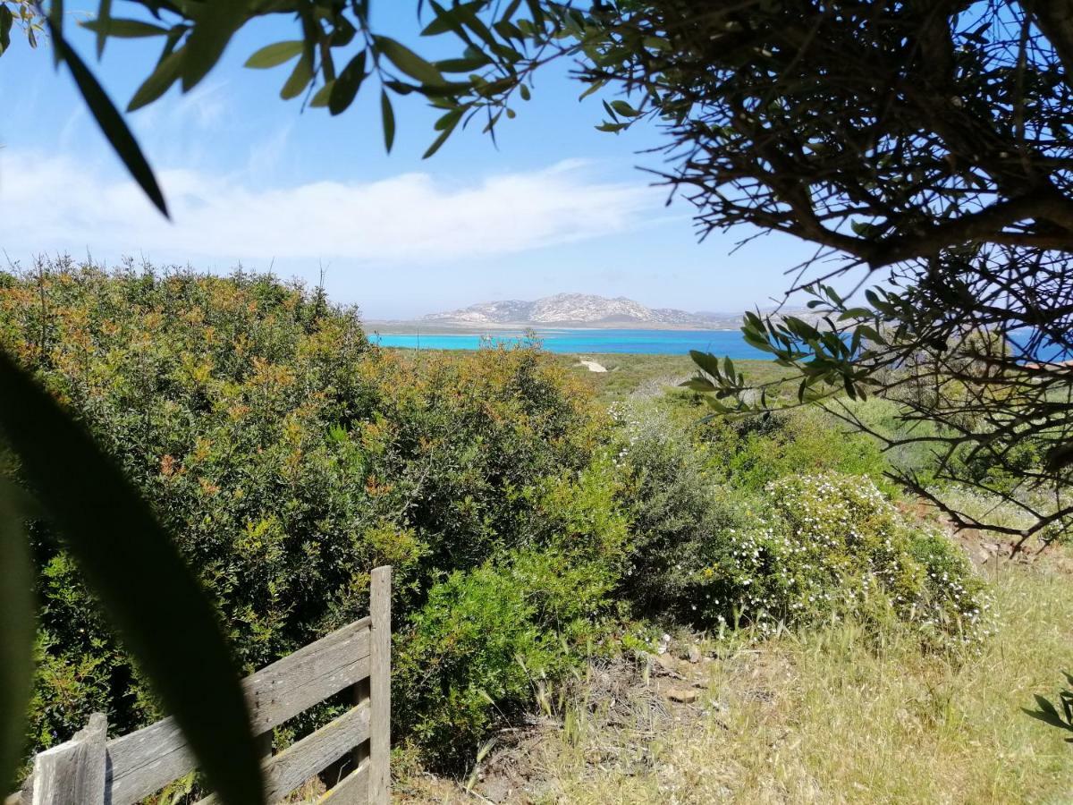 Roccabianca Rooms & Studios Stintino Dış mekan fotoğraf